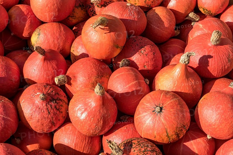 Pumpkins