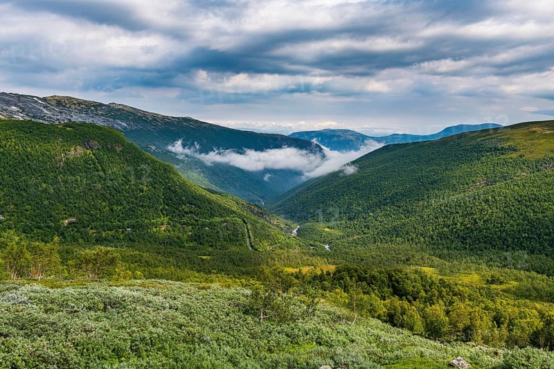 Canyon in the Aurland plateau