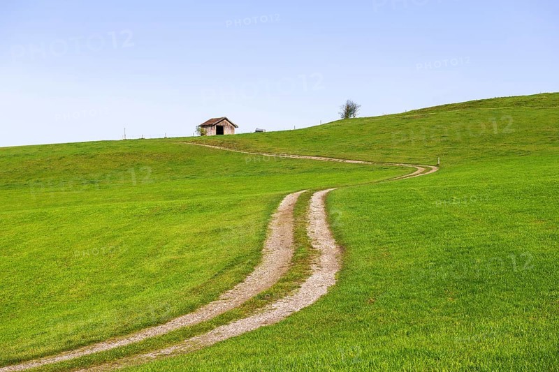 Landscape near Rieden am Forggensee
