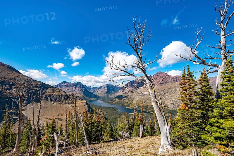 View of Two Medicine Lake with dead trees