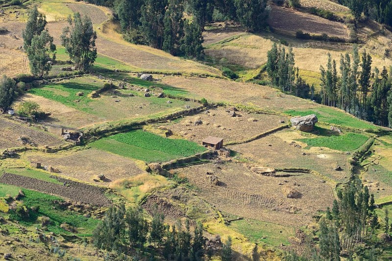 Harvested fields in Valle Sagrado