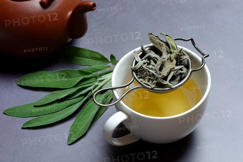 Sage tea in cup with tea strainer