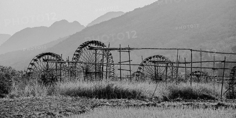 Irrigation of rice paddies with water wheels made of bamboo