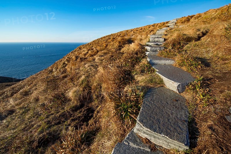 Hiking trail