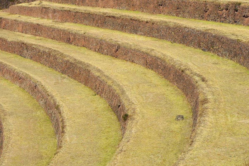 Walled terraces in the Inca ruins