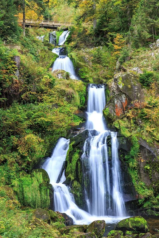 Triberg Waterfalls