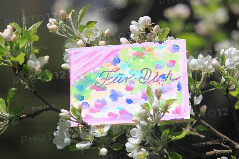Self painted greeting card hanging in tree