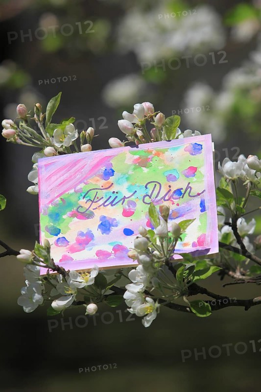 Self painted greeting card hanging in tree
