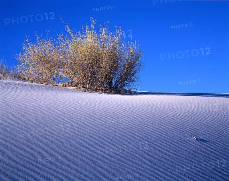 White Sands Gypsum Desert National Park