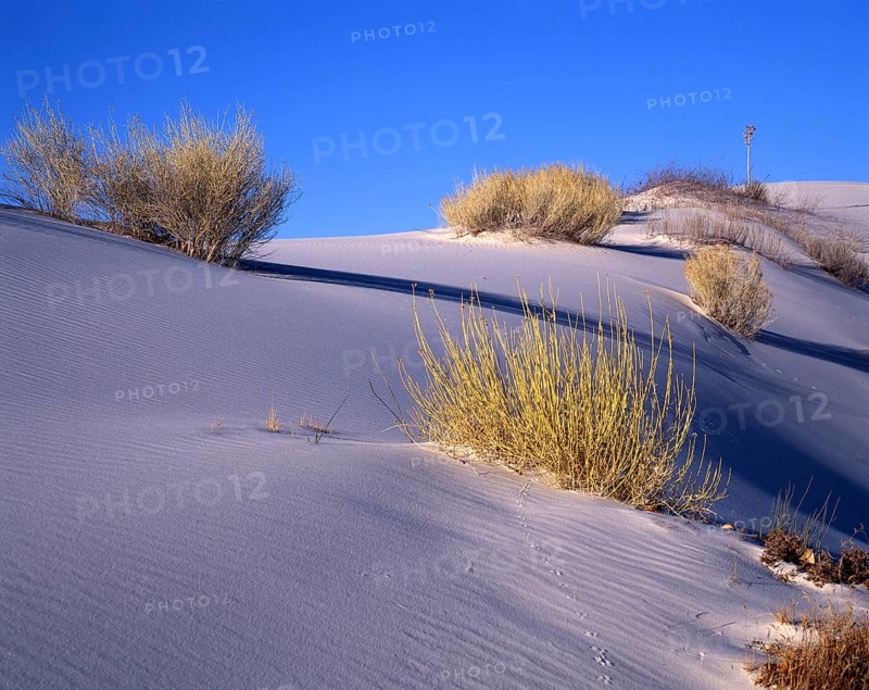 White sands Gypsum Desert National Park