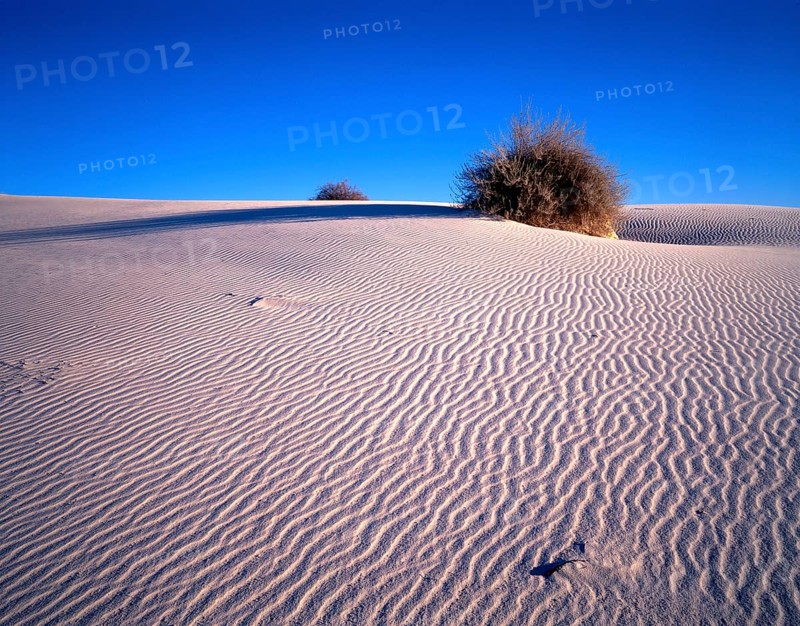 White sands Gypsum Desert National Park