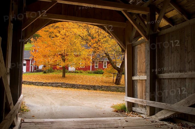 Autumn