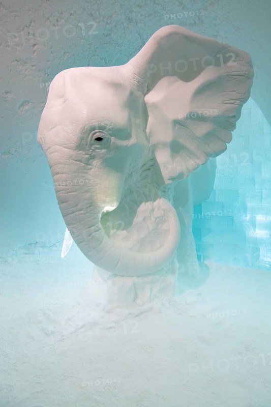 Elephant made of ice in the ice hotel of Jukkasjaervi