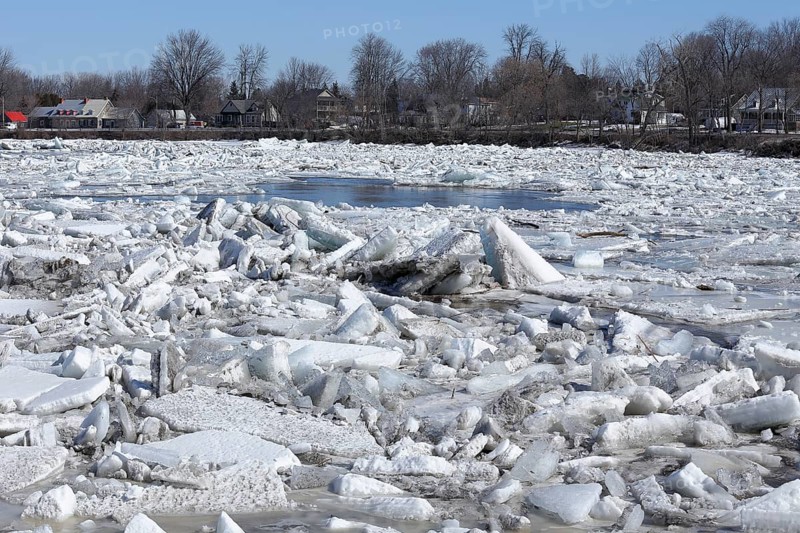 Pack ice in spring
