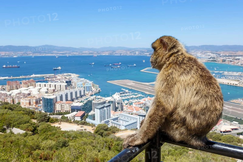 Overview Gibraltar Airport