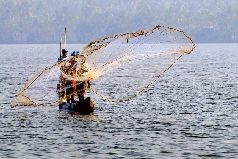 Ein Fischer Mann wirft das Fischernetz in Backwaters von Cherai