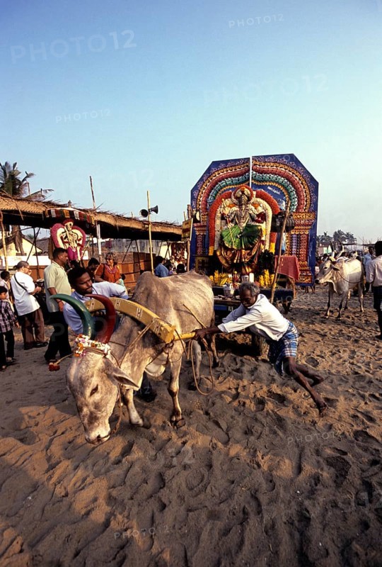 Gods taken procession in open bullock carts