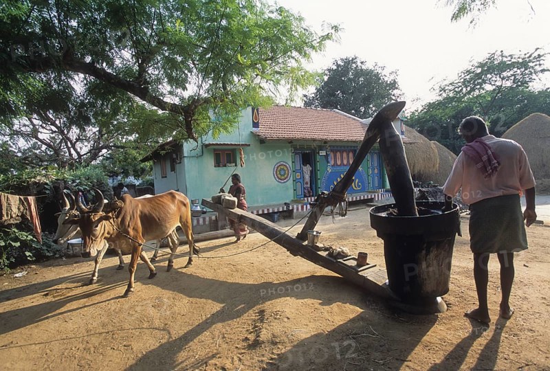 Wooden oil crusher called Marachekku in Tamil Nadu