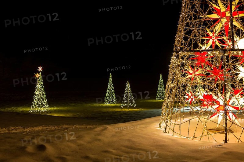 Fairy lights and stars as Christmas trees