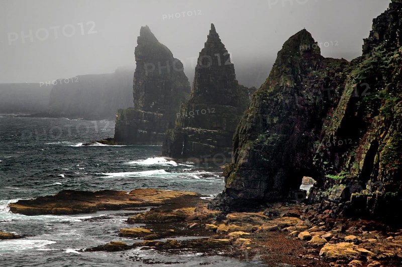 Coast at low tide
