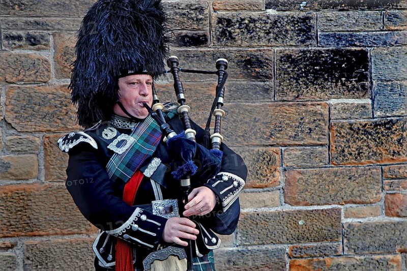 Piper