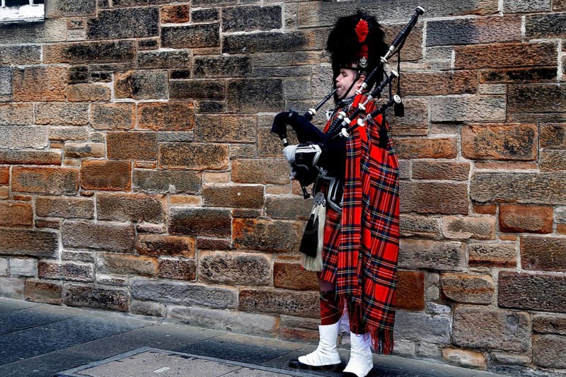Piper