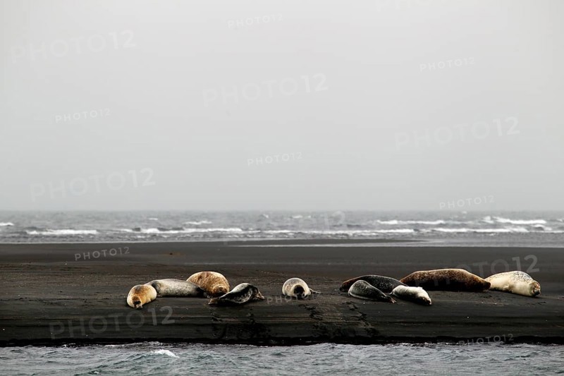 Seals