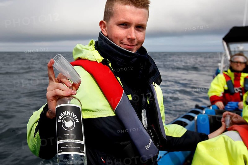 Whale Watching Tour