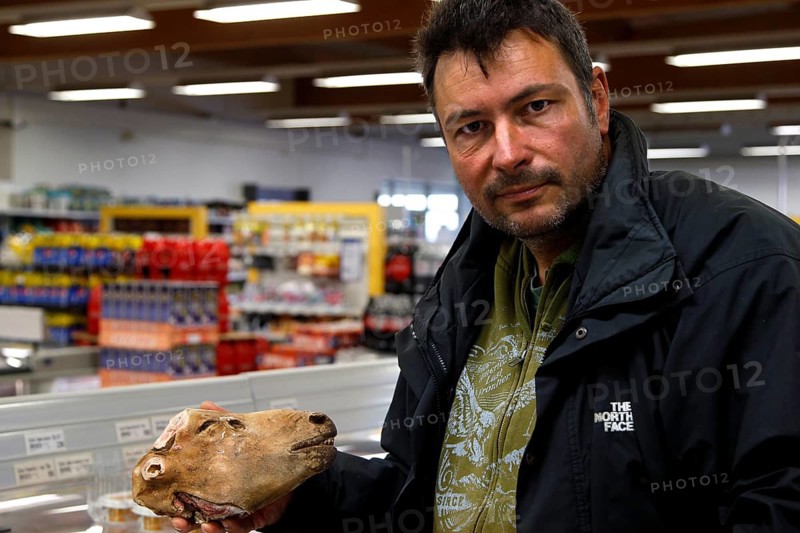 Man with sheep head