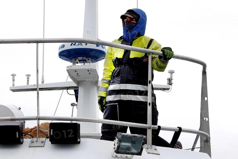 Whale Watching Tour