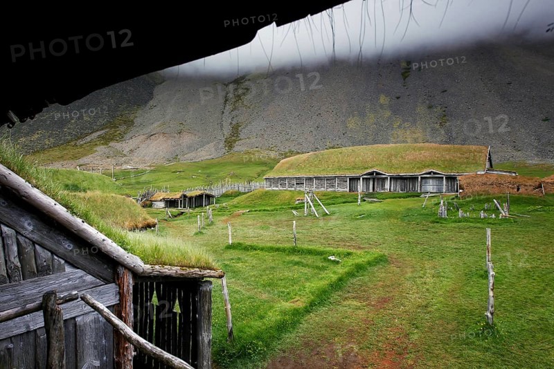 Viking farm