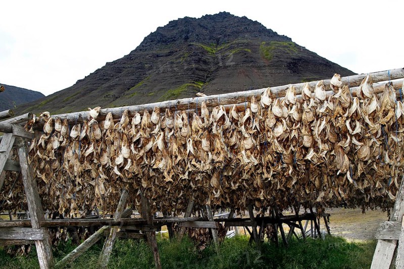 Wooden rack with fish heads