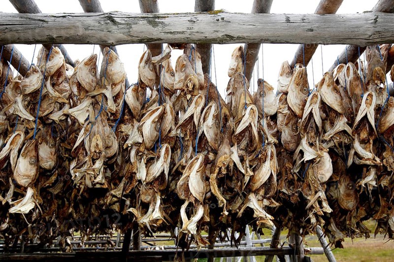 Wooden rack with fish heads