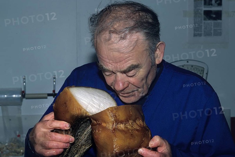 Man tests Greenland shark