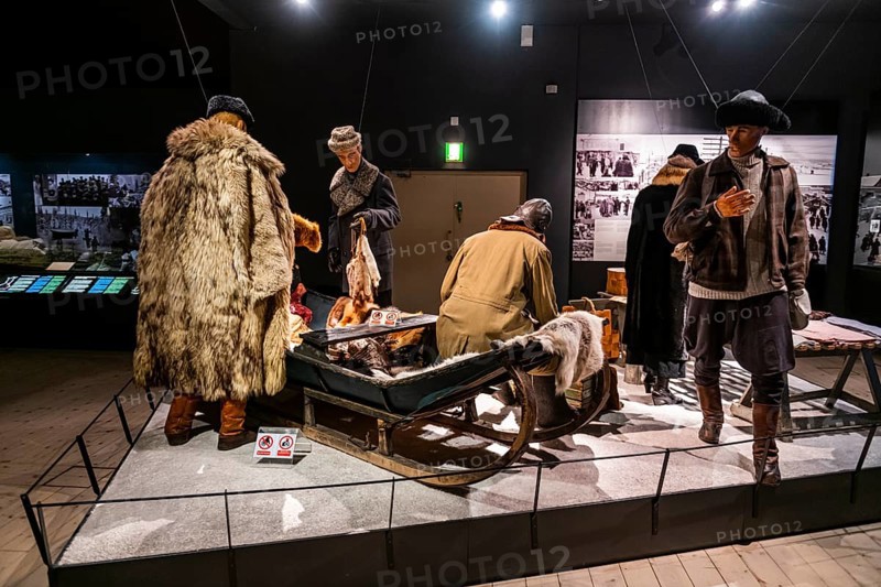 Arktikum museum
