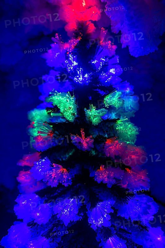 Christmas ice sculptures in the Underground permafrost tunnels in the Melnikov Permafrost Institute