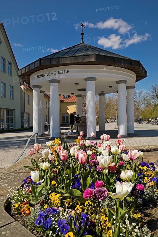 Arminius Spring at the edge of Arminius Park