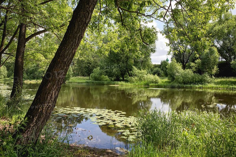 Landscape with Trubezh river
