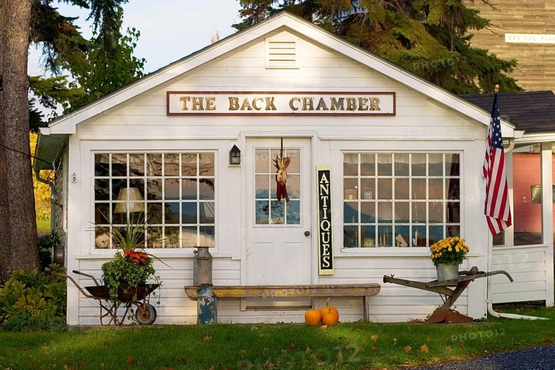 The Back Chamber