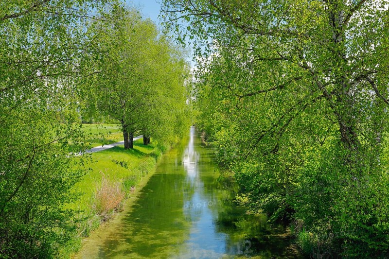 Beginning of the river Glatt at the Greifensee near Faellanden and Schwerzenbach in the canton of Zurich