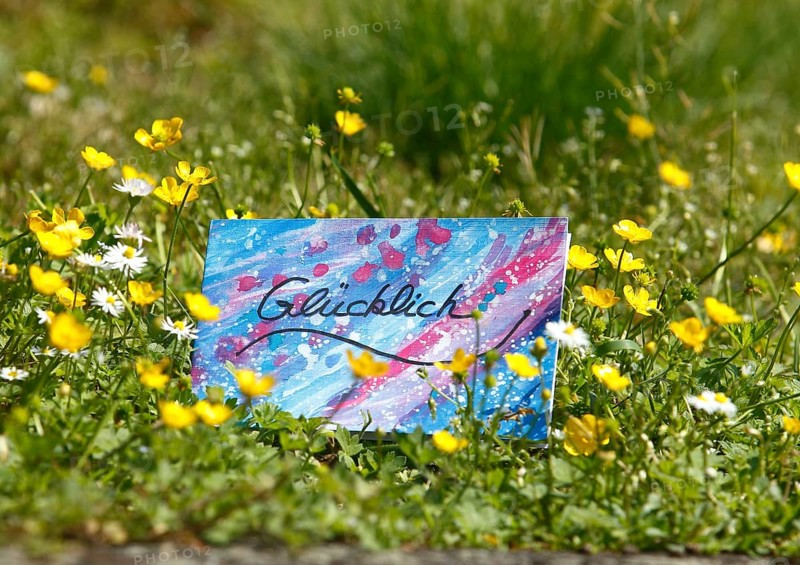 Self painted greeting card lies on flower meadow