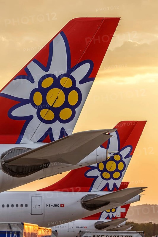 Edelweiss Airbus A320 aircraft tails at Zurich Airport