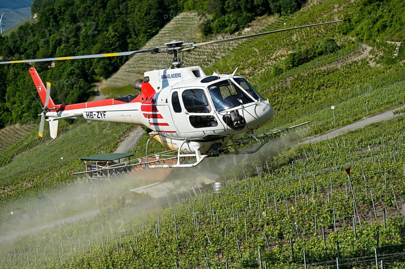 Helicopter Eurocopter AS350 B2 Ecureuil of Air-Glaciers SA sprays pesticides on vineyards in the wine-growing area of Leytron