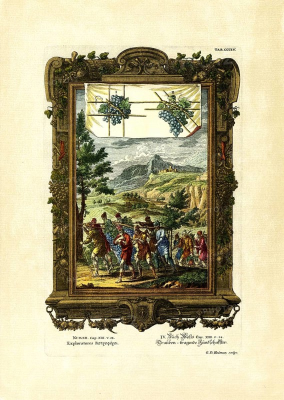 Book of Numbers