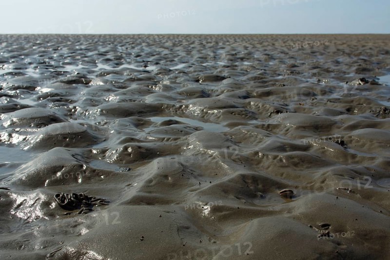 Wadden Sea in the North Sea