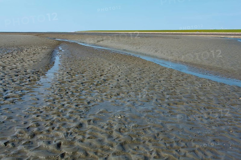 Wadden Sea in the North Sea