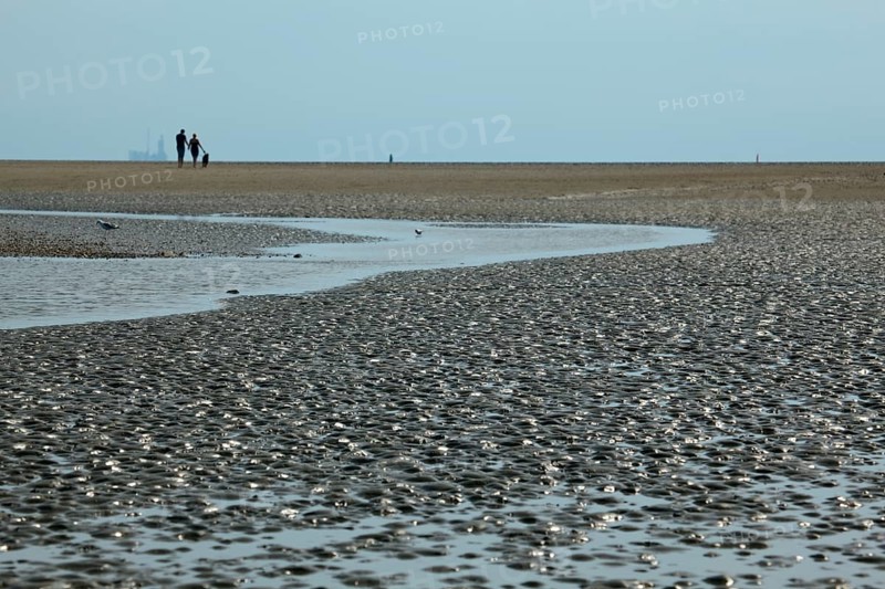 Wadden Sea in the North Sea
