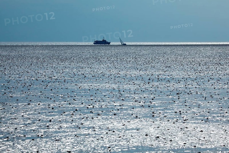Wadden Sea in the North Sea