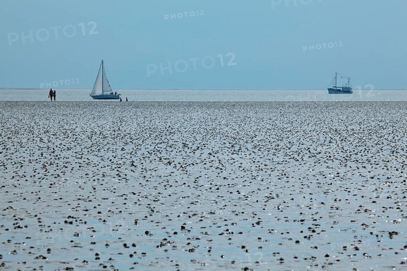 Wadden Sea in the North Sea