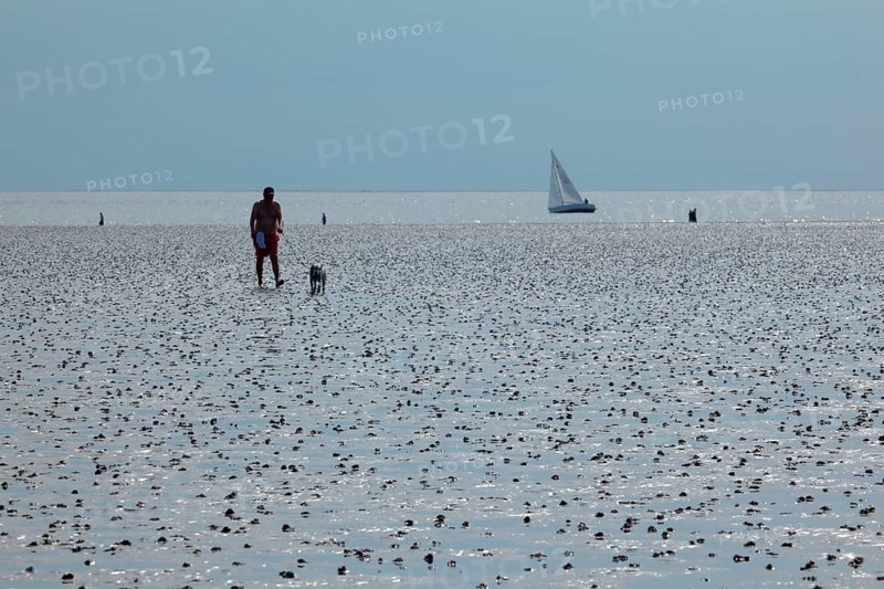 Wadden Sea in the North Sea